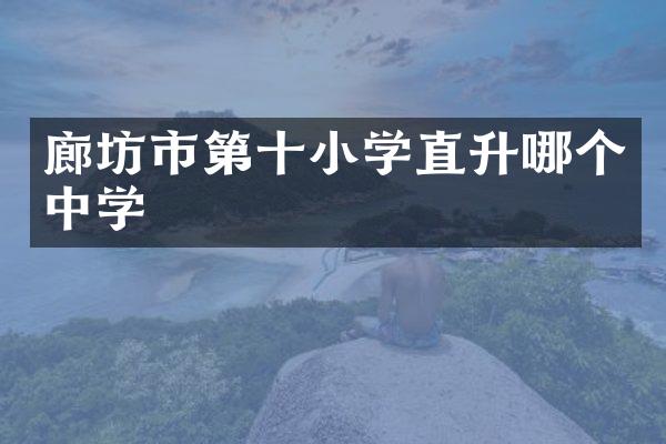 廊坊市第十小学直升哪个中学