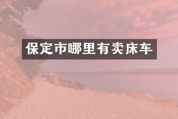保定市哪里有卖床车