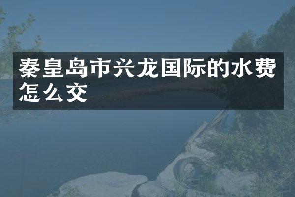 秦皇岛市兴龙国际的水费怎么交