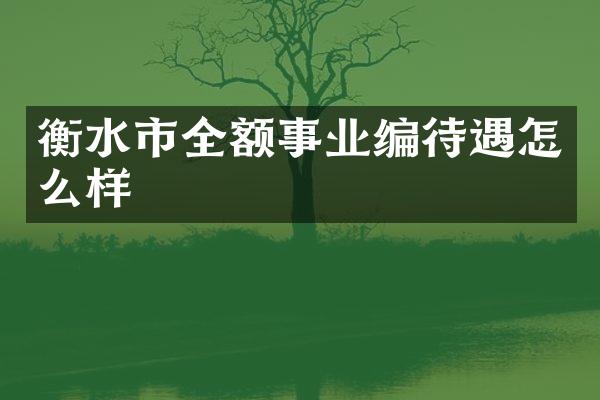 衡水市全额事业编待遇怎么样
