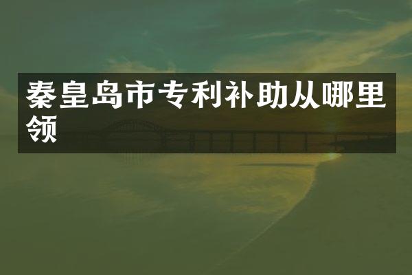 秦皇岛市专利补助从哪里领