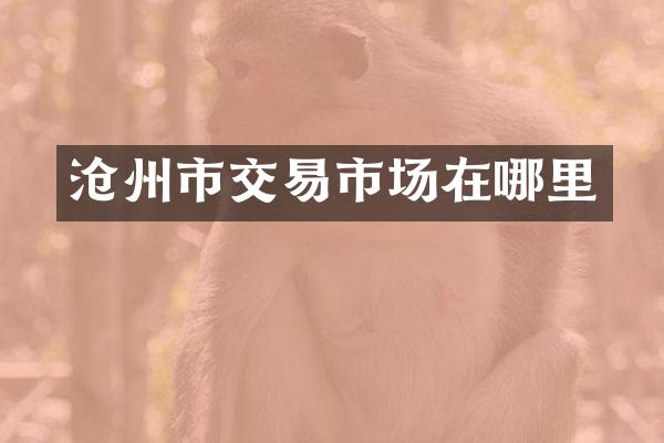 沧州市交易市场在哪里
