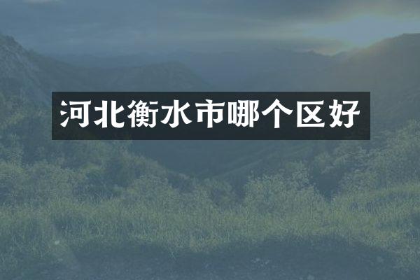 河北衡水市哪个区好