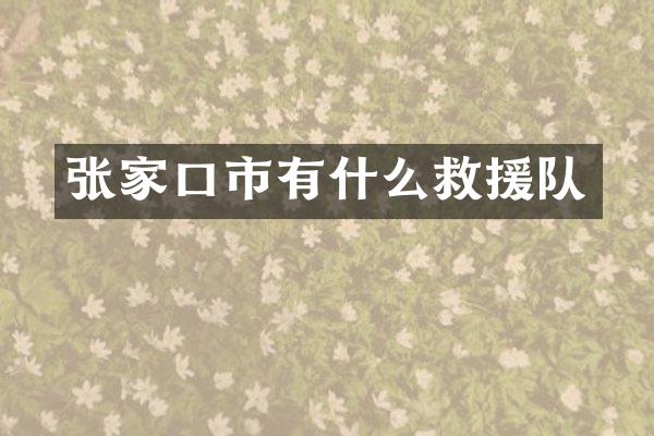 张家口市有什么救援队