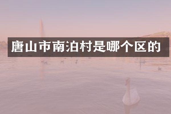 唐山市南泊村是哪个区的