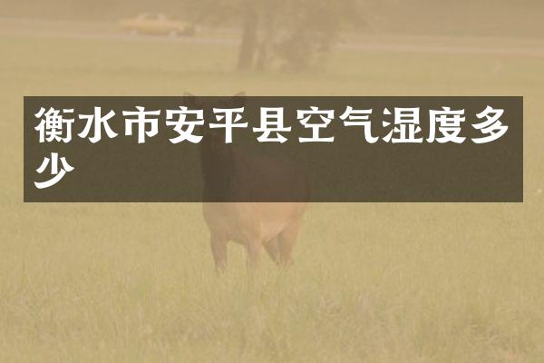 衡水市安平县空气湿度多少