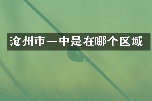 沧州市一中是在哪个区域