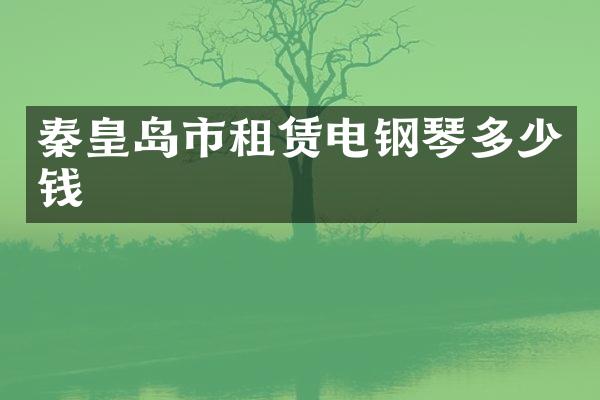 秦皇岛市租赁电钢琴多少钱