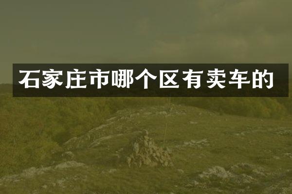 石家庄市哪个区有卖车的