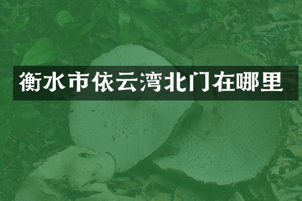 衡水市依云湾北门在哪里