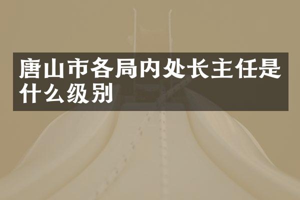 唐山市各局内处长主任是什么级别