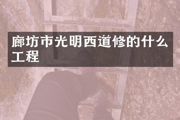 廊坊市光明西道修的什么工程