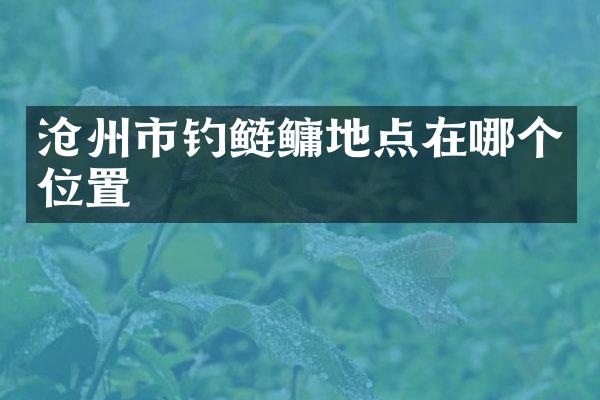 沧州市钓鲢鳙地点在哪个位置