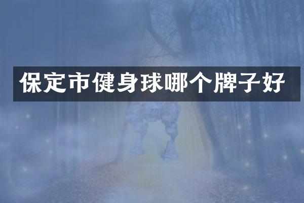 保定市健身球哪个牌子好