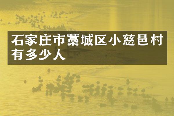 石家庄市藁城区小慈邑村有多少人