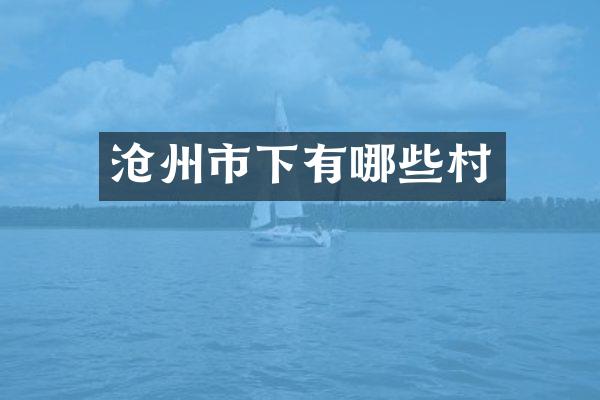 沧州市下有哪些村