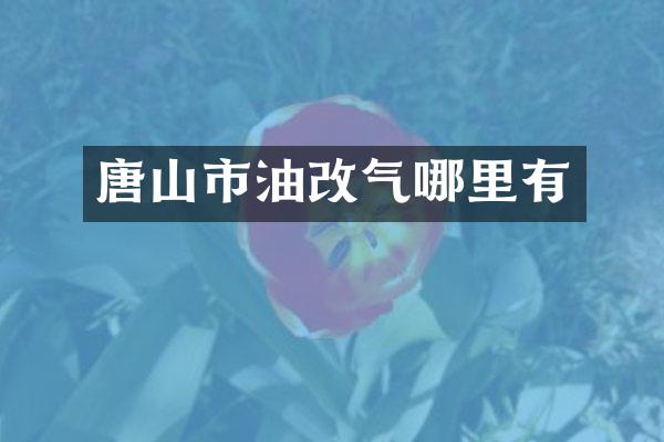 唐山市油改气哪里有