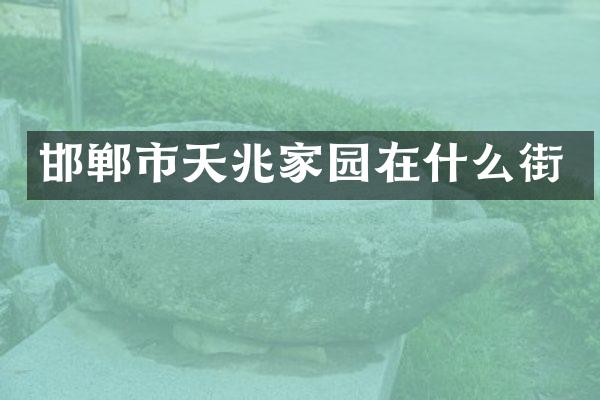 邯郸市天兆家园在什么街