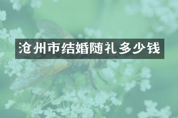 沧州市结婚随礼多少钱