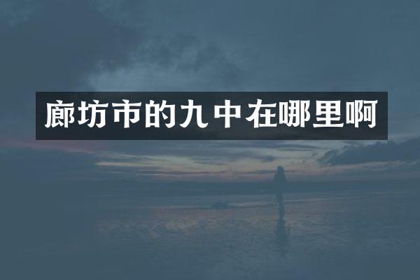 廊坊市的九中在哪里啊
