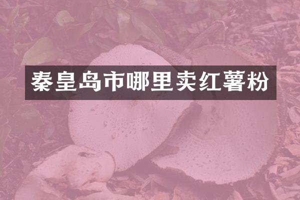 秦皇岛市哪里卖红薯粉