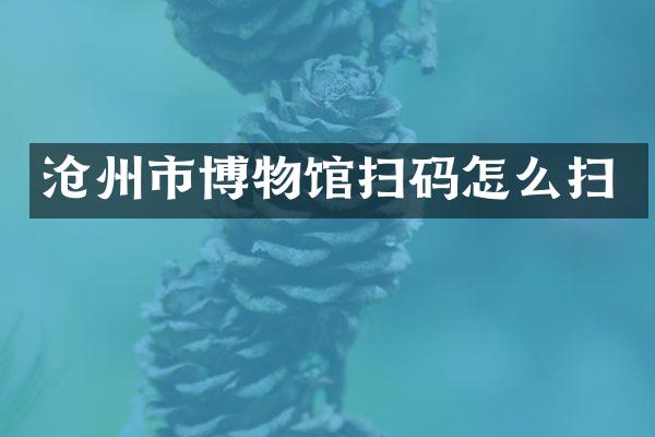 沧州市博物馆扫码怎么扫