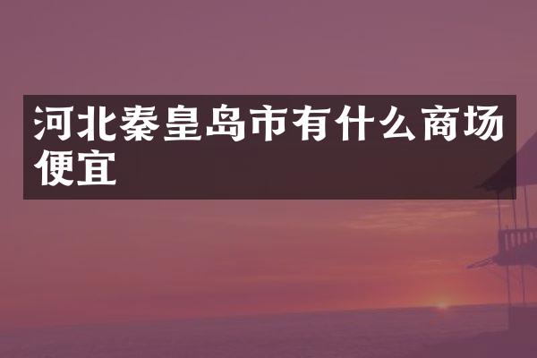 河北秦皇岛市有什么商场便宜