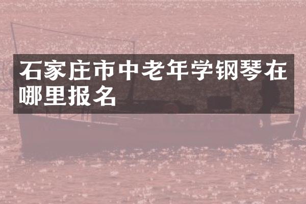石家庄市中老年学钢琴在哪里报名