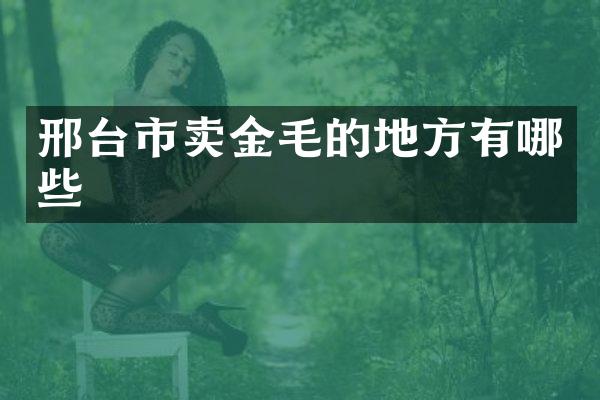 邢台市卖金毛的地方有哪些