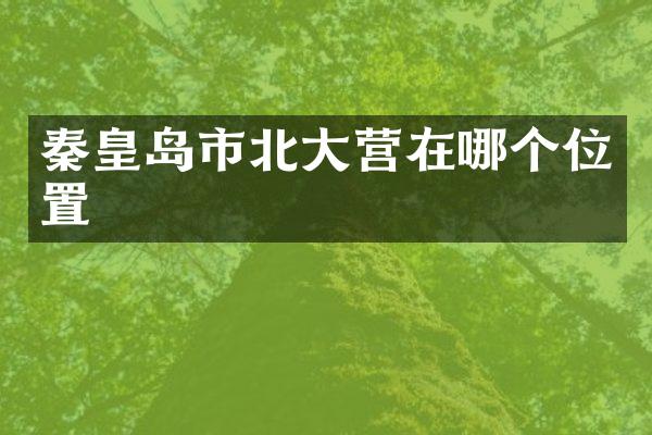秦皇岛市北大营在哪个位置