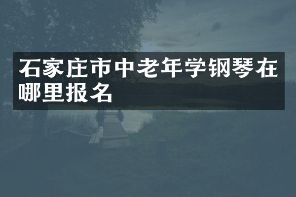 石家庄市中老年学钢琴在哪里报名