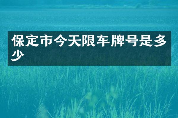 保定市今天限车牌号是多少