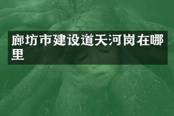 廊坊市建设道天河岗在哪里