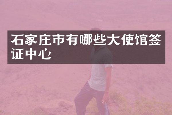 石家庄市有哪些大使馆签证中心