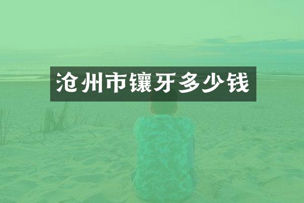 沧州市镶牙多少钱