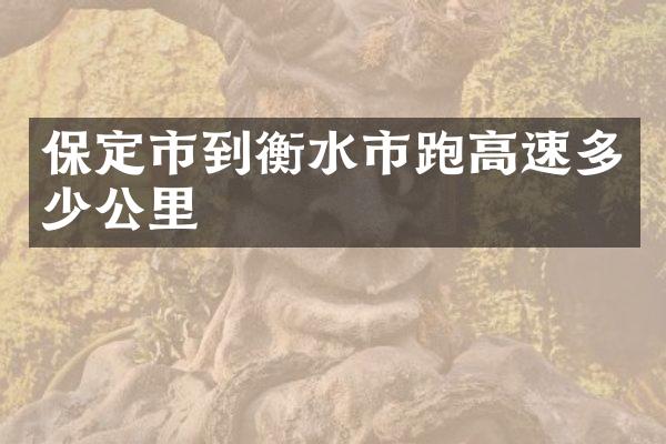 保定市到衡水市跑高速多少公里