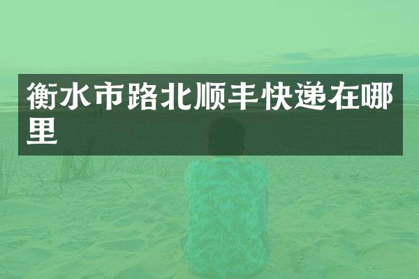 衡水市路北顺丰快递在哪里