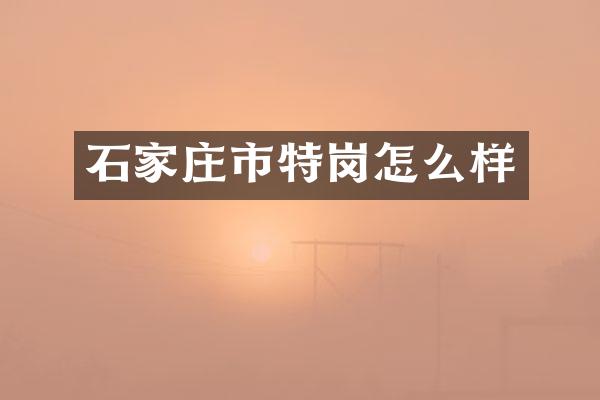 石家庄市特岗怎么样