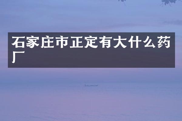 石家庄市正定有大什么药厂