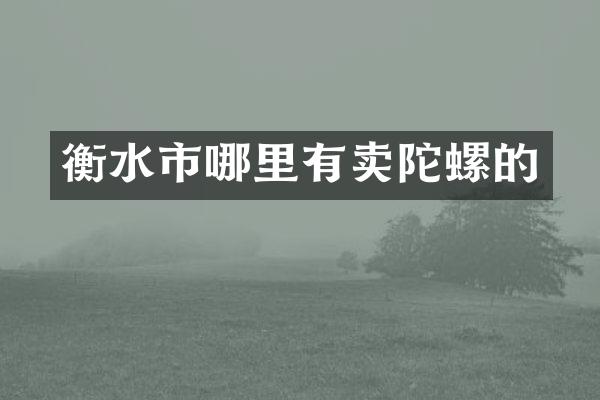衡水市哪里有卖陀螺的