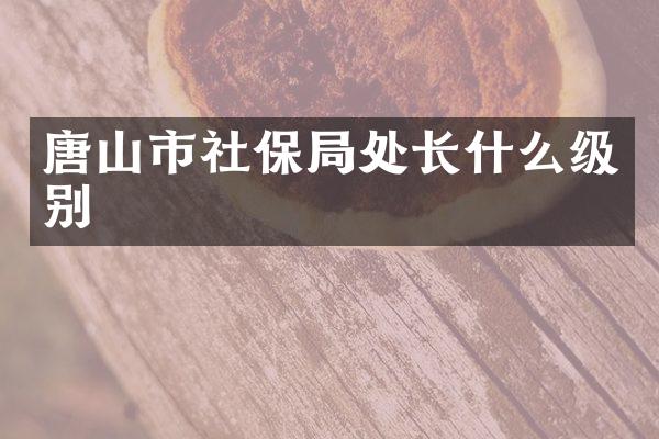 唐山市社保局处长什么级别