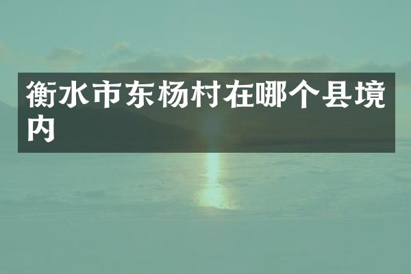 衡水市东杨村在哪个县境内