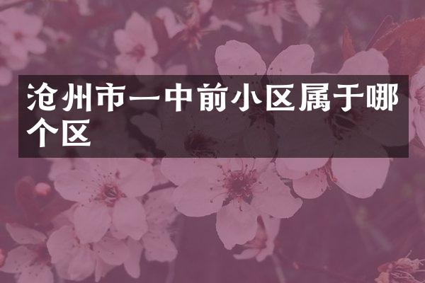 沧州市一中前小区属于哪个区