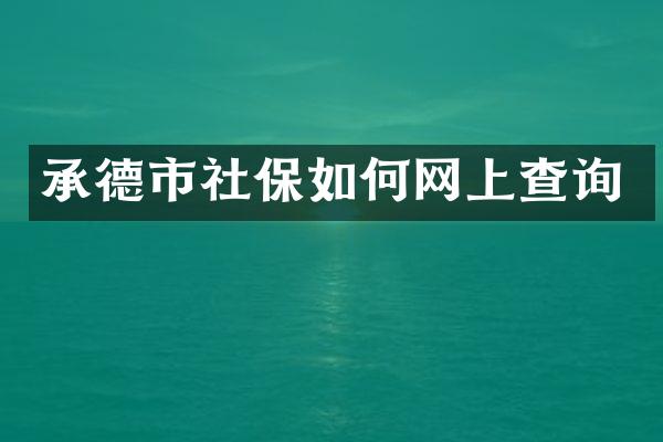 承德市社保如何网上查询