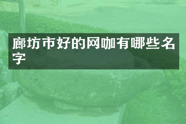 廊坊市好的网咖有哪些名字