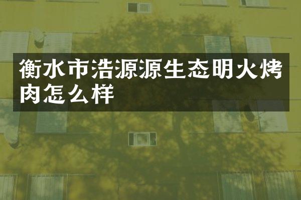 衡水市浩源源生态明火烤肉怎么样