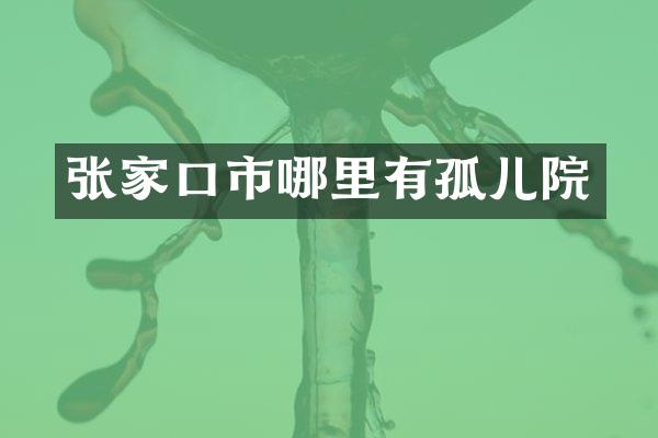 张家口市哪里有孤儿院
