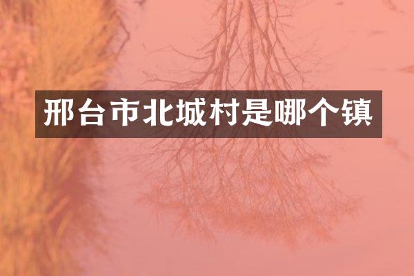 邢台市北城村是哪个镇