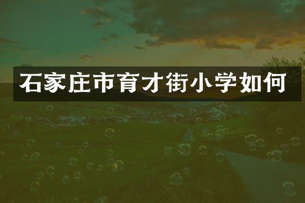 石家庄市育才街小学如何