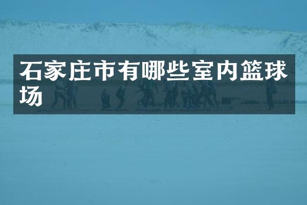 石家庄市有哪些室内篮球场